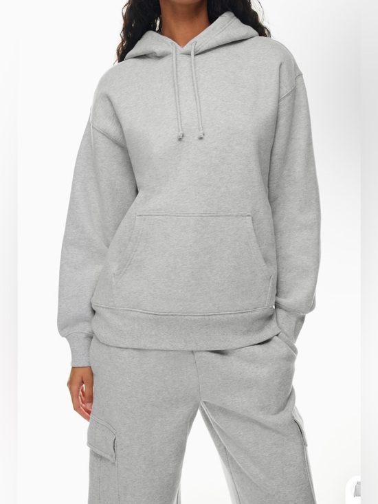 Aritzia Tops - ARITZIA Cozy Fleece Heather Chrome Boyfriend Hoodie